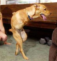 Name:  498154997.jpg
Views: 358
Size:  8.6 KB