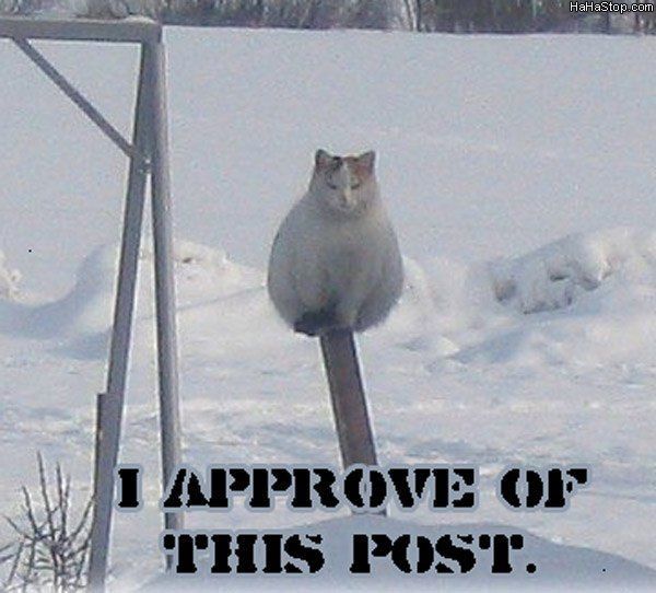 Name:  Great_Post.jpg
Views: 167
Size:  60.6 KB