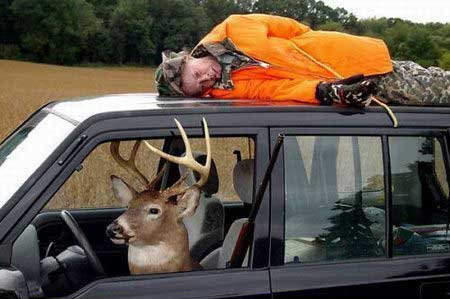 Name:  hunter-becomes-prey.jpg
Views: 1476
Size:  23.5 KB
