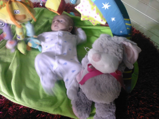 Name:  Photo0167.jpg
Views: 239
Size:  97.2 KB