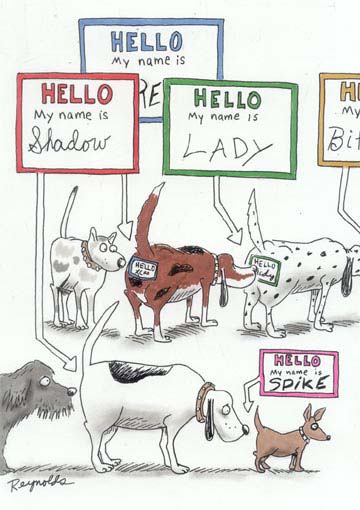 Name:  dognametags.jpg
Views: 1635
Size:  33.8 KB