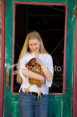 Name:  ist2_3723309-blonde-teenage-woman-holding-a-red-chicken.jpg
Views: 632
Size:  58.8 KB