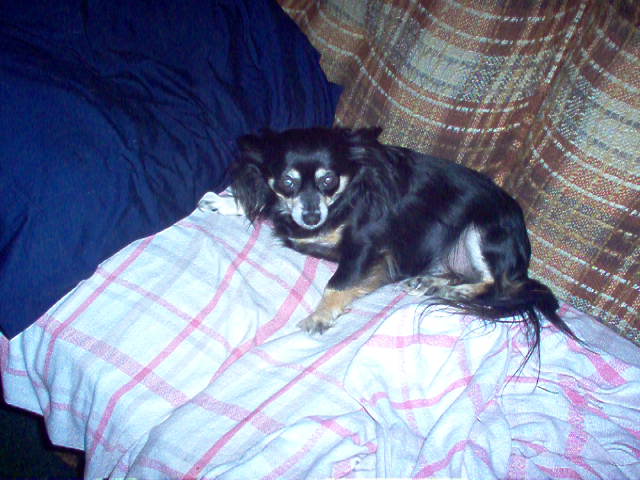 Name:  IM000558.jpg
Views: 454
Size:  87.5 KB