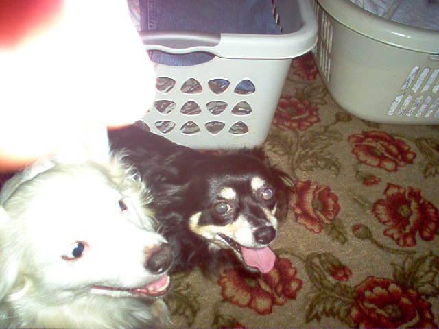 Name:  IM000566.jpg
Views: 407
Size:  70.5 KB