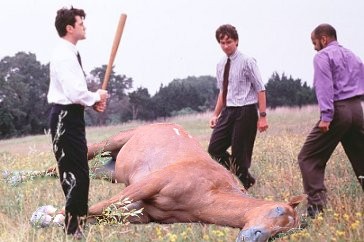 Name:  beating_a_dead_horse.jpg
Views: 1350
Size:  29.7 KB