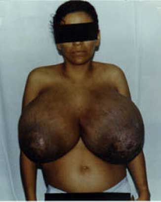 Name:  disturbing_boobs.jpg
Views: 1932
Size:  8.6 KB