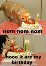 Name:  largethumb_no_it_are_my_birthday.jpg
Views: 782
Size:  10.3 KB
