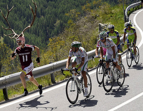 Name:  tour-deer-france.jpg
Views: 787
Size:  75.0 KB