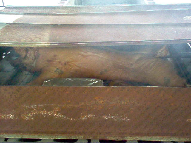Name:  moose bbq 011.jpg
Views: 111
Size:  69.3 KB