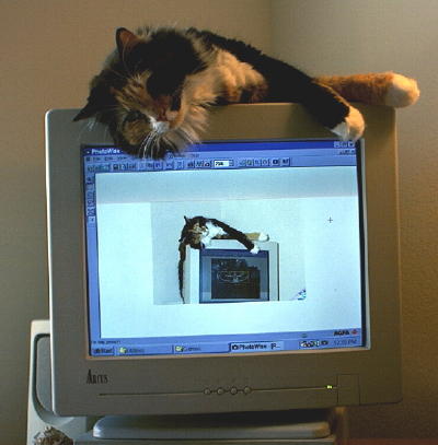 Name:  Life imitates art .jpg
Views: 303
Size:  25.0 KB