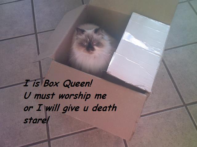 Name:  box queen.jpg
Views: 679
Size:  32.5 KB