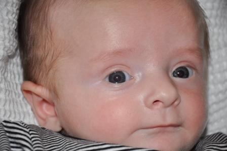 Name:  024small.jpg
Views: 778
Size:  59.0 KB