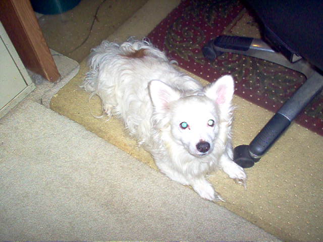 Name:  IM000601.JPG
Views: 453
Size:  78.1 KB