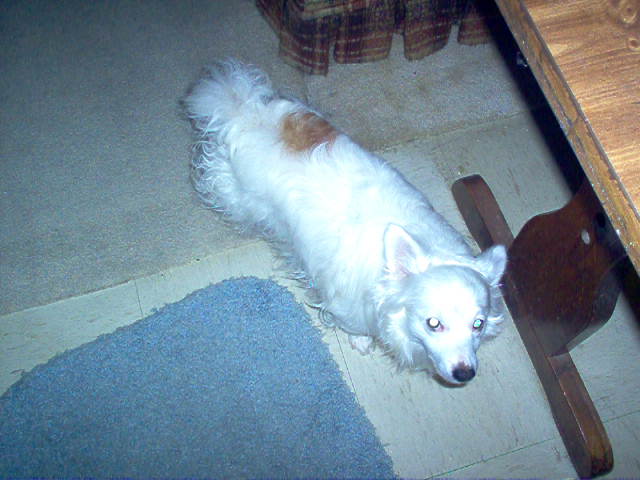 Name:  IM000605.JPG
Views: 422
Size:  76.3 KB