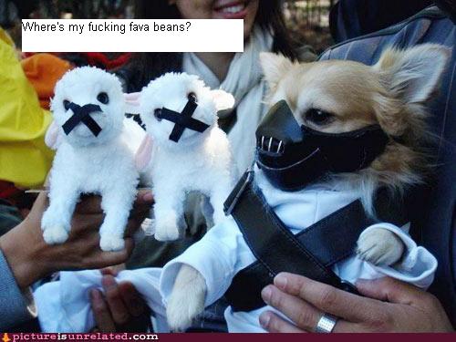Name:  wtf-pics-u-hear-lambs.jpg
Views: 713
Size:  36.9 KB