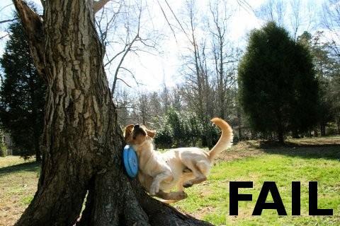 Name:  fail1.jpg
Views: 901
Size:  40.0 KB