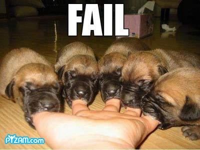 Name:  fail8.jpg
Views: 932
Size:  21.9 KB