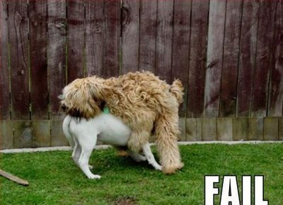 Name:  fail9.jpg
Views: 933
Size:  30.4 KB