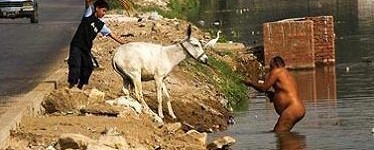 Name:  only_in_pakistan_2-374x150.jpg
Views: 1197
Size:  25.9 KB