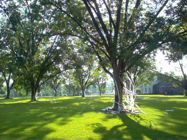 Name:  teepee job at John's 005.jpg
Views: 295
Size:  118.3 KB