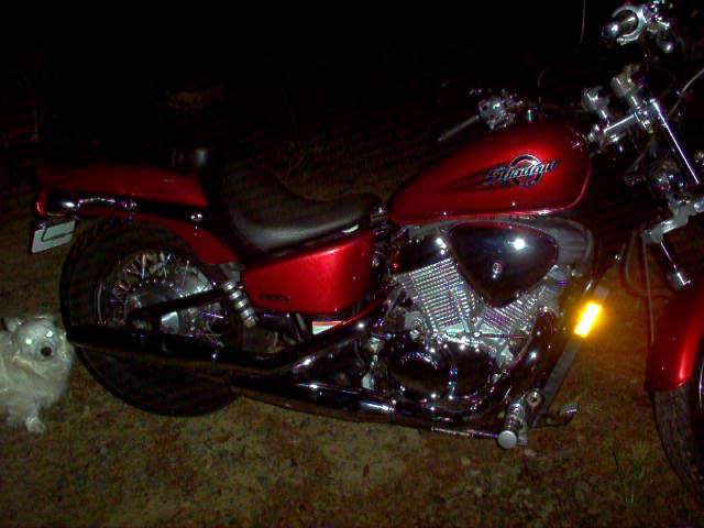 Name:  nite bike 008.jpg
Views: 205
Size:  72.0 KB