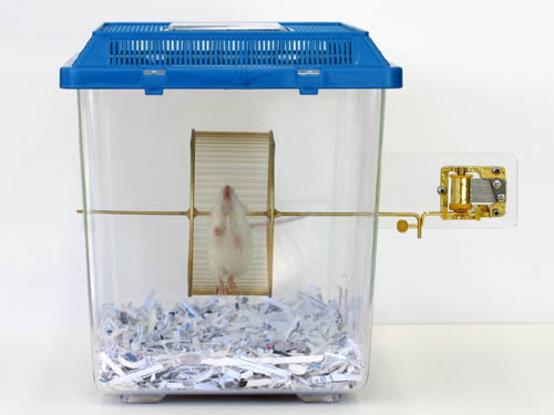 Name:  hamster-music-box.jpg
Views: 909
Size:  37.4 KB