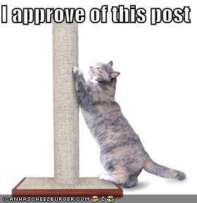 Name:  funny-pictures-cat-scratches-post.jpg
Views: 255
Size:  12.5 KB