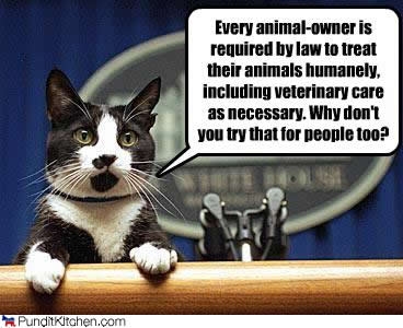 Name:  political-pictures-socks-treat-humanely.jpg
Views: 324
Size:  56.8 KB