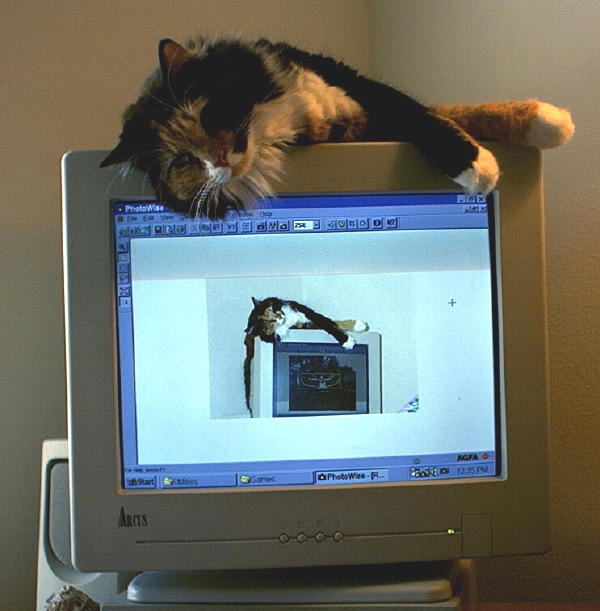 Name:  Life imitates art .jpg
Views: 290
Size:  50.5 KB