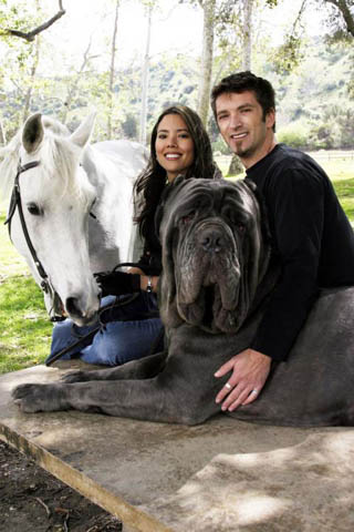Name:  dogs019.jpg
Views: 1029
Size:  49.3 KB
