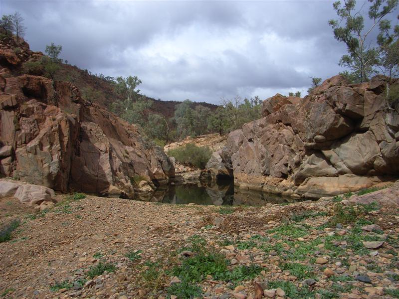 Name:  Ark2.JPG
Views: 310
Size:  108.3 KB