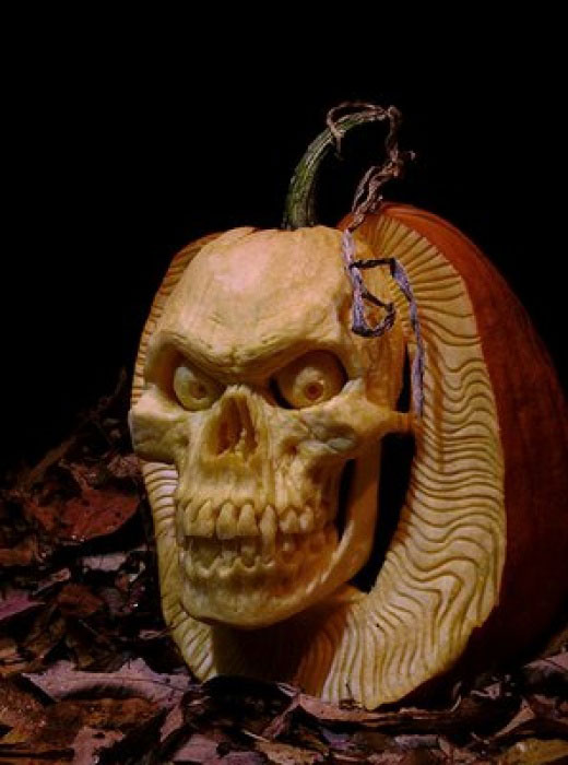 Name:  pumpkin1.jpg
Views: 520
Size:  61.6 KB