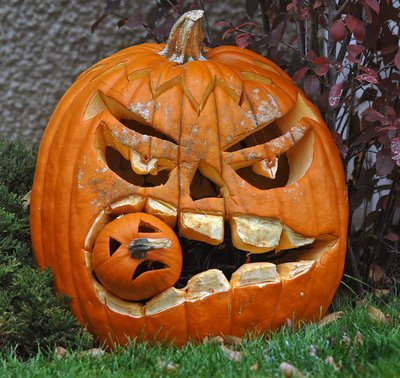 Name:  pumpkin.jpg
Views: 584
Size:  47.7 KB