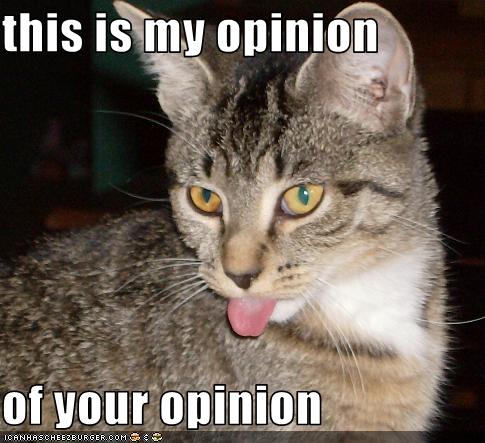 Name:  cat-hates-your-opinion.jpg
Views: 319
Size:  42.0 KB