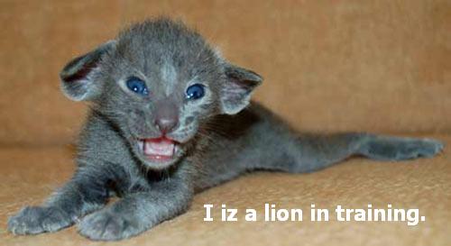 Name:  bl12.jpg
Views: 669
Size:  18.1 KB