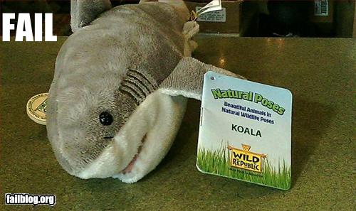 Name:  epic-fail-koala-fail.jpg
Views: 690
Size:  64.0 KB