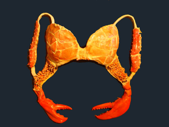 Name:  the-crab-bra.jpg
Views: 624
Size:  37.9 KB