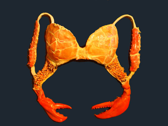 Name:  the-crab-bra.jpg
Views: 761
Size:  37.9 KB