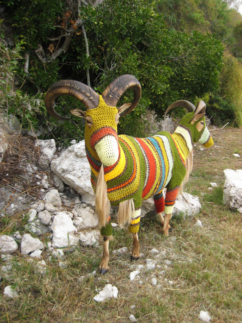 Name:  animal-sweaters.jpg
Views: 722
Size:  142.3 KB