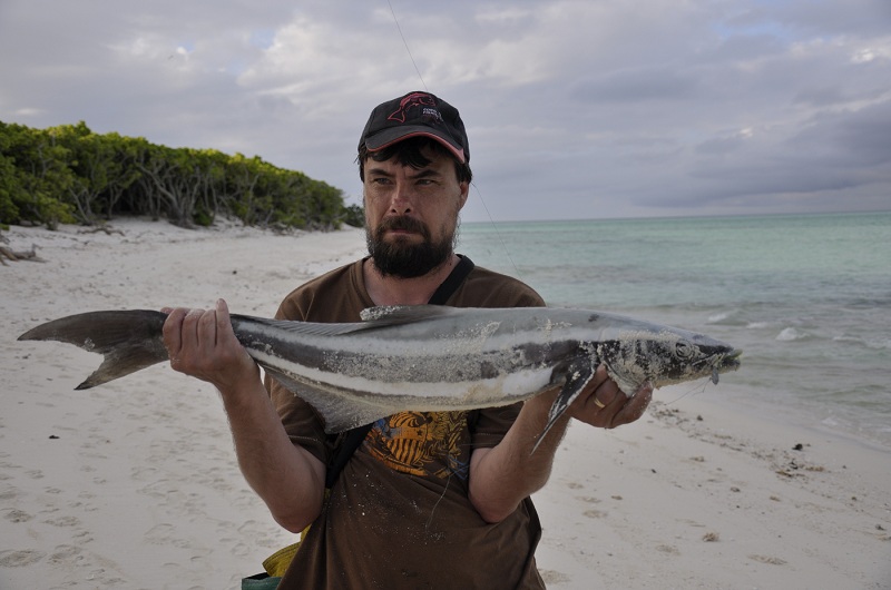 Name:  cobia.jpg
Views: 852
Size:  149.8 KB