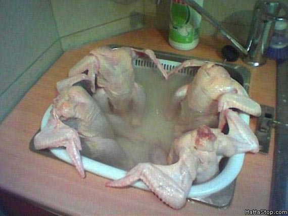 Name:  Hot_Tub_Chickens.jpg
Views: 258
Size:  39.5 KB