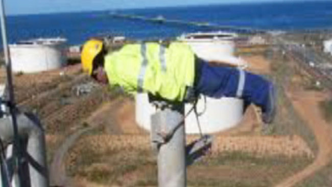 Name:  309535-planking.jpg
Views: 3822
Size:  37.0 KB