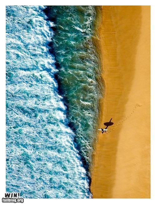 Name:  surfer.jpg
Views: 1954
Size:  81.5 KB