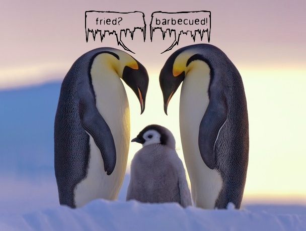 Name:  penguins.jpg
Views: 2208
Size:  71.6 KB