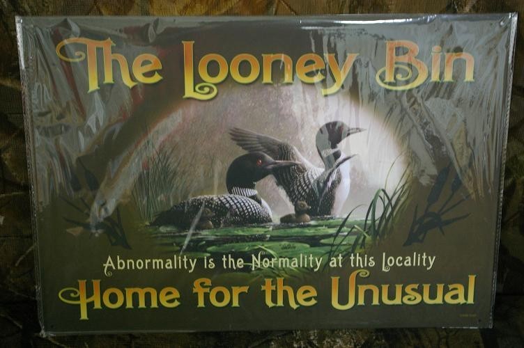 Name:  loney bin.JPG
Views: 160
Size:  68.6 KB