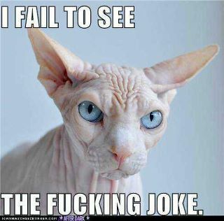 Name:  fingJoke.jpg
Views: 477
Size:  18.4 KB