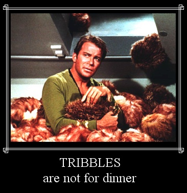 Name:  tribbles.jpg
Views: 690
Size:  58.4 KB