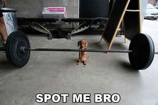 Name:  spotmebro.jpg
Views: 545
Size:  14.4 KB