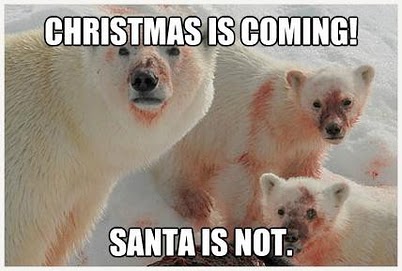 Name:  bears.jpg
Views: 403
Size:  29.3 KB