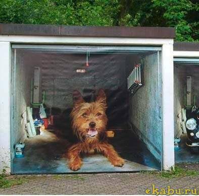 Name:  dog door.jpg
Views: 922
Size:  85.9 KB